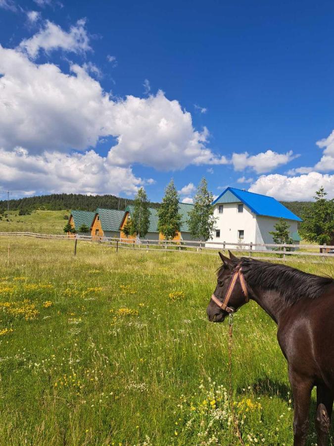 Vule Bungalovi Žabljak Екстериор снимка